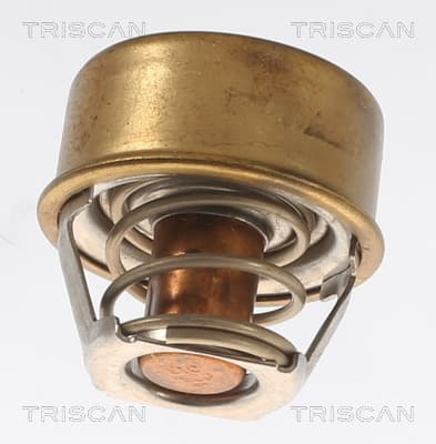 Termostat från TRISCAN