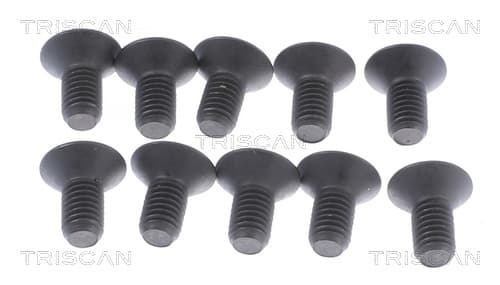 Skruv från TRISCAN