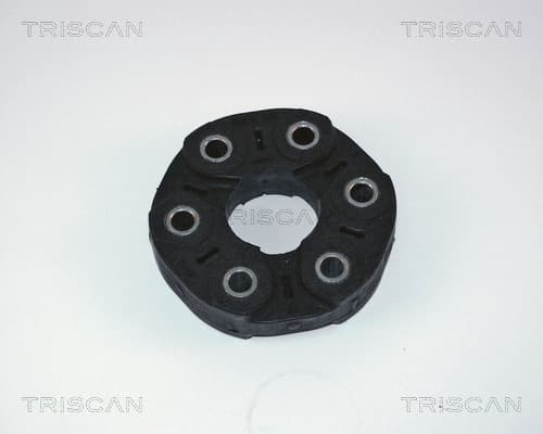 Medbringare från TRISCAN