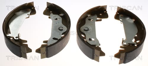 Bromsbackar från TRISCAN