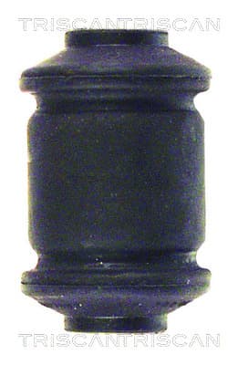 Bussning från TRISCAN