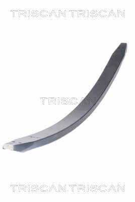 Blatfjäder framaxel, komposit — framaxel från TRISCAN