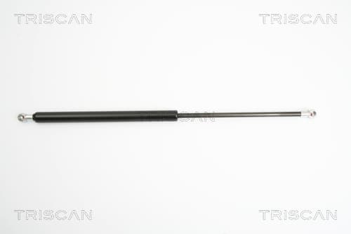GASFJÄDER BAK — Bakaxel från TRISCAN