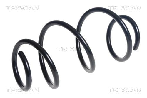 SPIRALFJÄDER FRAM — framaxel från TRISCAN