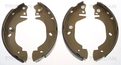 Bromsbackar från TRISCAN