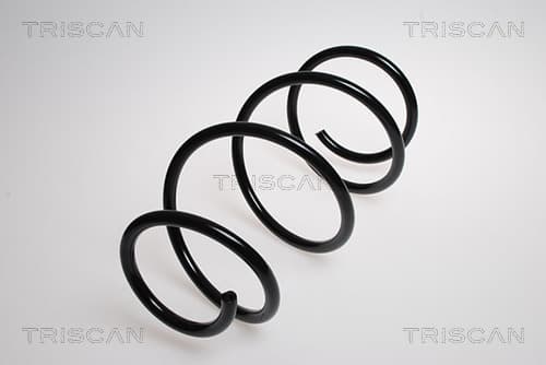 SPIRALFJÄDER FRAM HÖGER — framaxel höger från TRISCAN