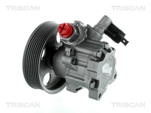 SERVOPUMP BYTE från TRISCAN