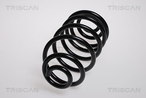 Spiralfjäder bak — Bakaxel från TRISCAN
