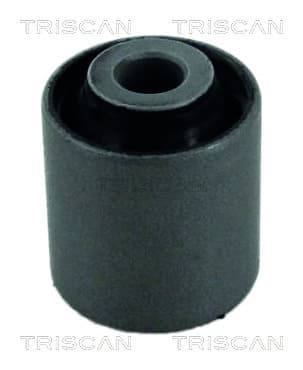 Bussning från TRISCAN