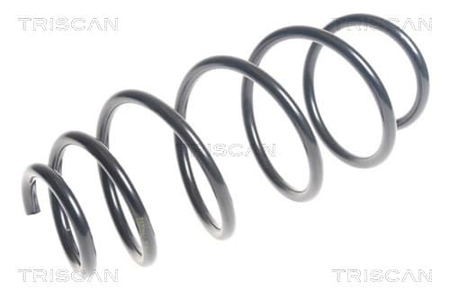 SPIRALFJÄDER FRAM — framaxel från TRISCAN