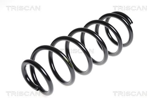 SPIRALFJÄDER BAK — Bakaxel från TRISCAN