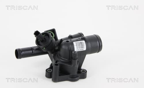 TERMOSTAT M. HUS från TRISCAN