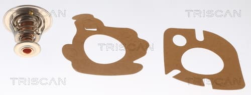 Termostat från TRISCAN