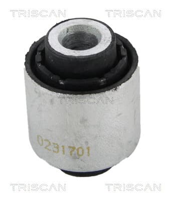 Bussning från TRISCAN