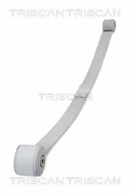 Bladfjäder bak — Bakaxel från TRISCAN