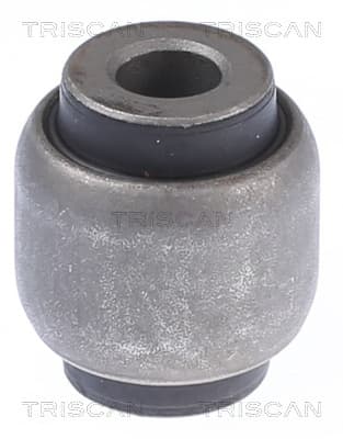 Bussning från TRISCAN