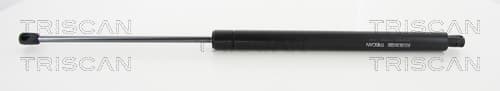 GASFJÄDER BAK — Bakaxel från TRISCAN