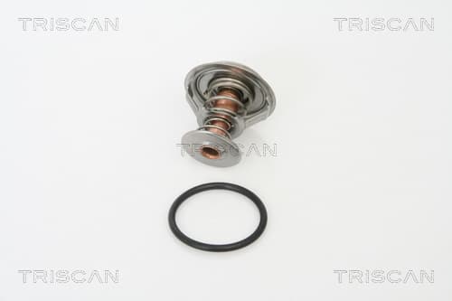 Termostat från TRISCAN