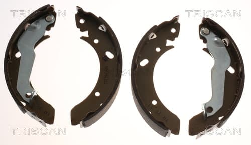 Bromsbackar från TRISCAN