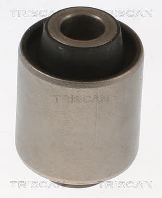 Bussning från TRISCAN