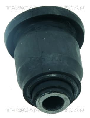 Bussning från TRISCAN