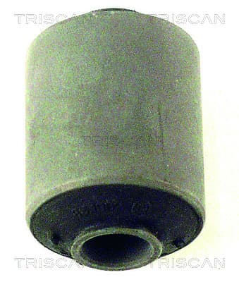 BUSSNING från TRISCAN