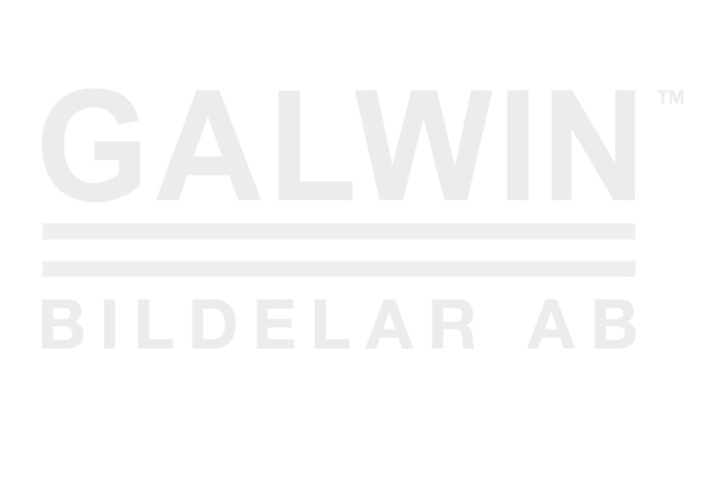 Bärarm vä fram från Galwin