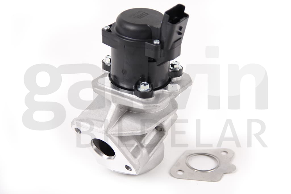 EGR Ventil, Citroen, Fiat, Peugeot