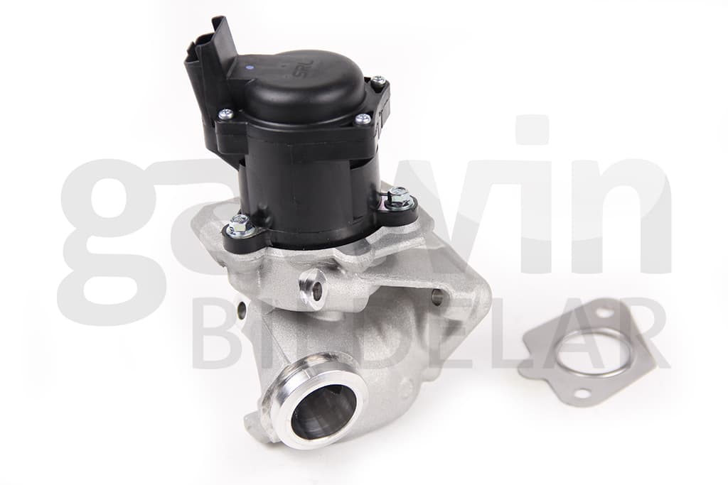 EGR Ventil, Citroen, Ford, Peugeot
