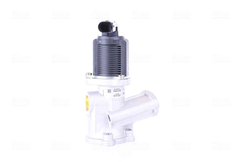 EGR Ventil, Fiat, Opel, Suzuki