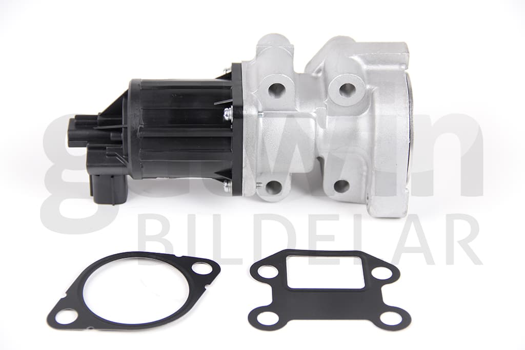EGR Ventil, Opel