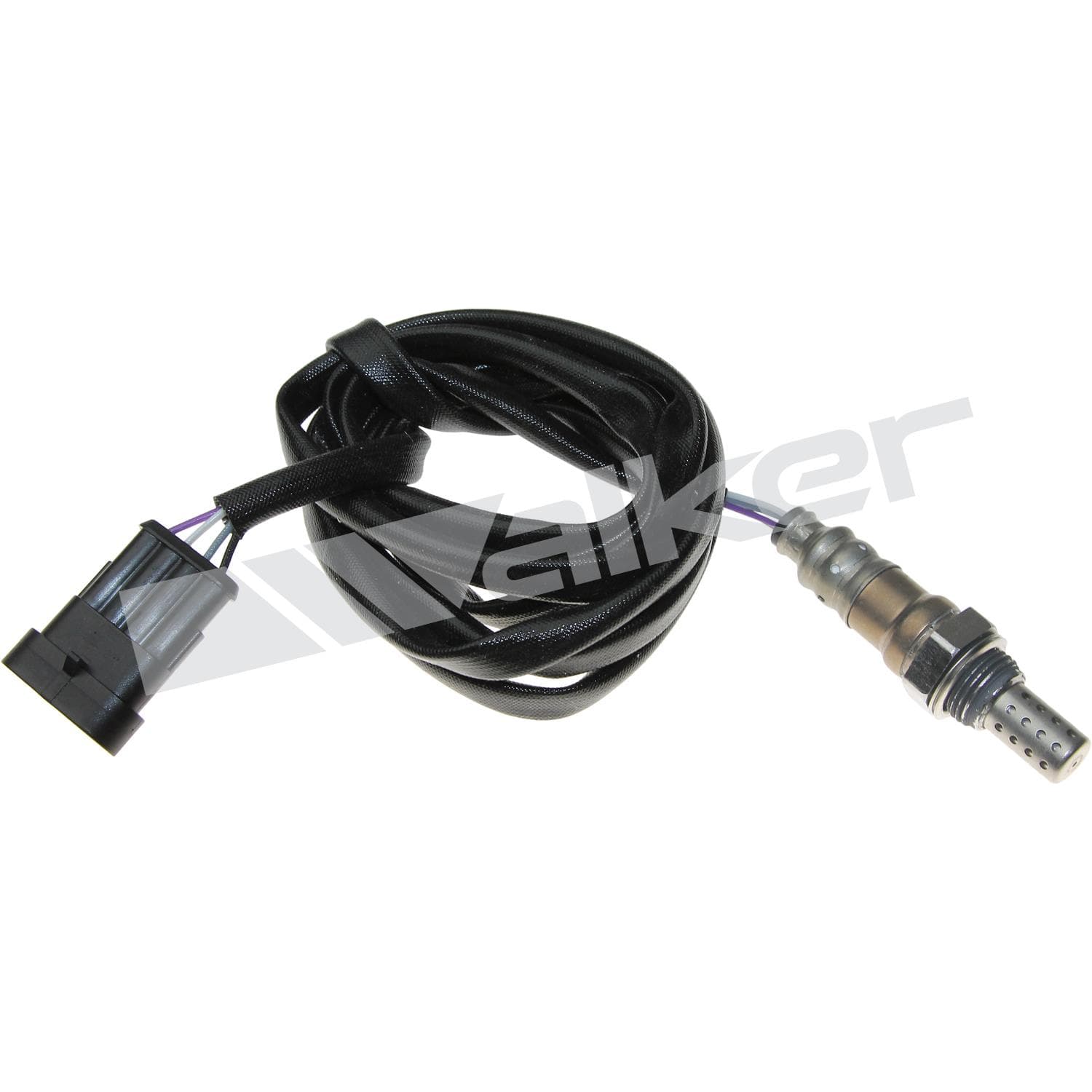 Lambdasond, Alfa Romeo