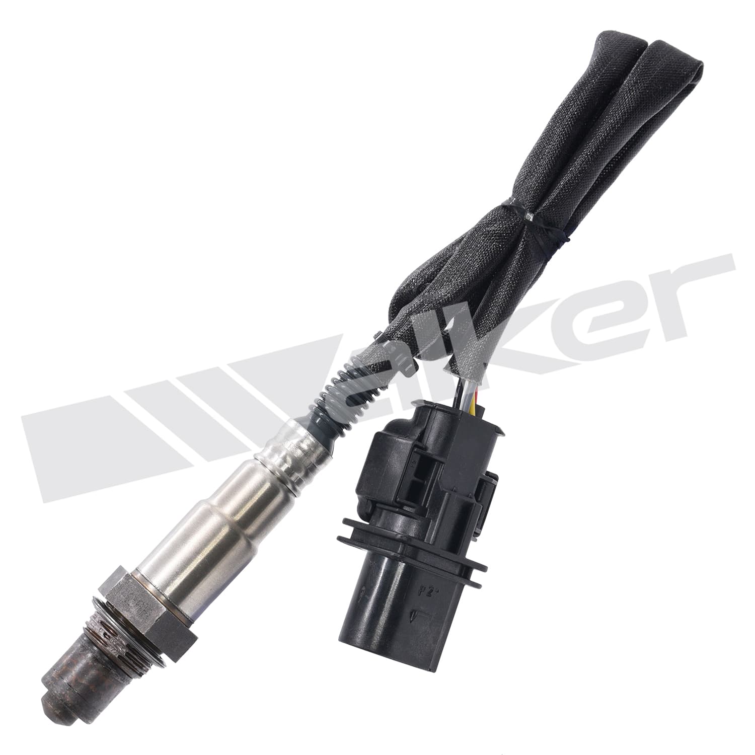 Lambdasond, Audi, Ford