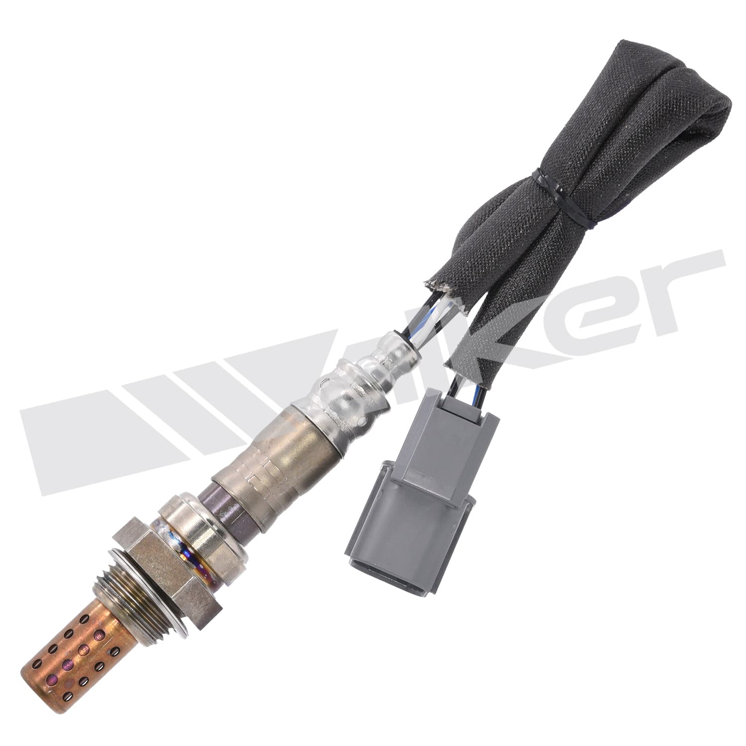 Lambdasond, Honda från Galwin