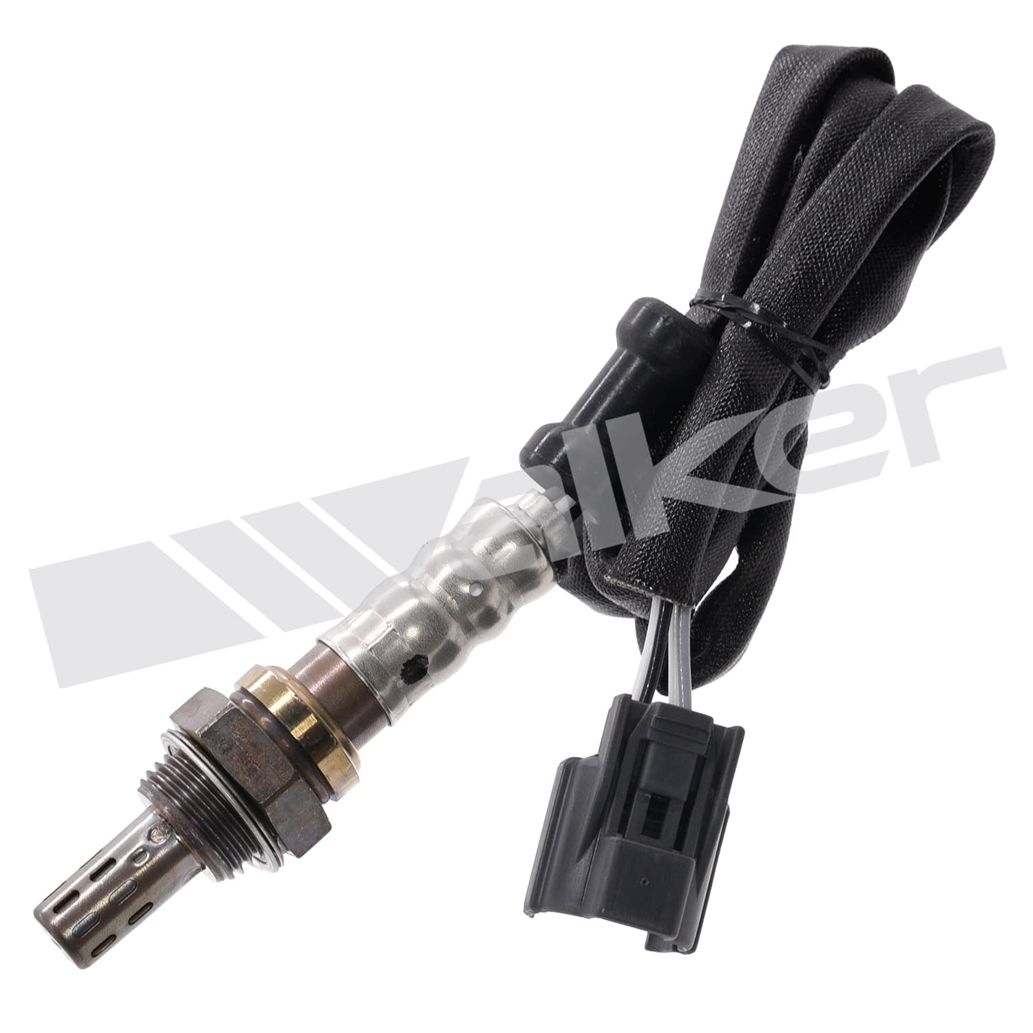 Lambdasond, Honda från Galwin