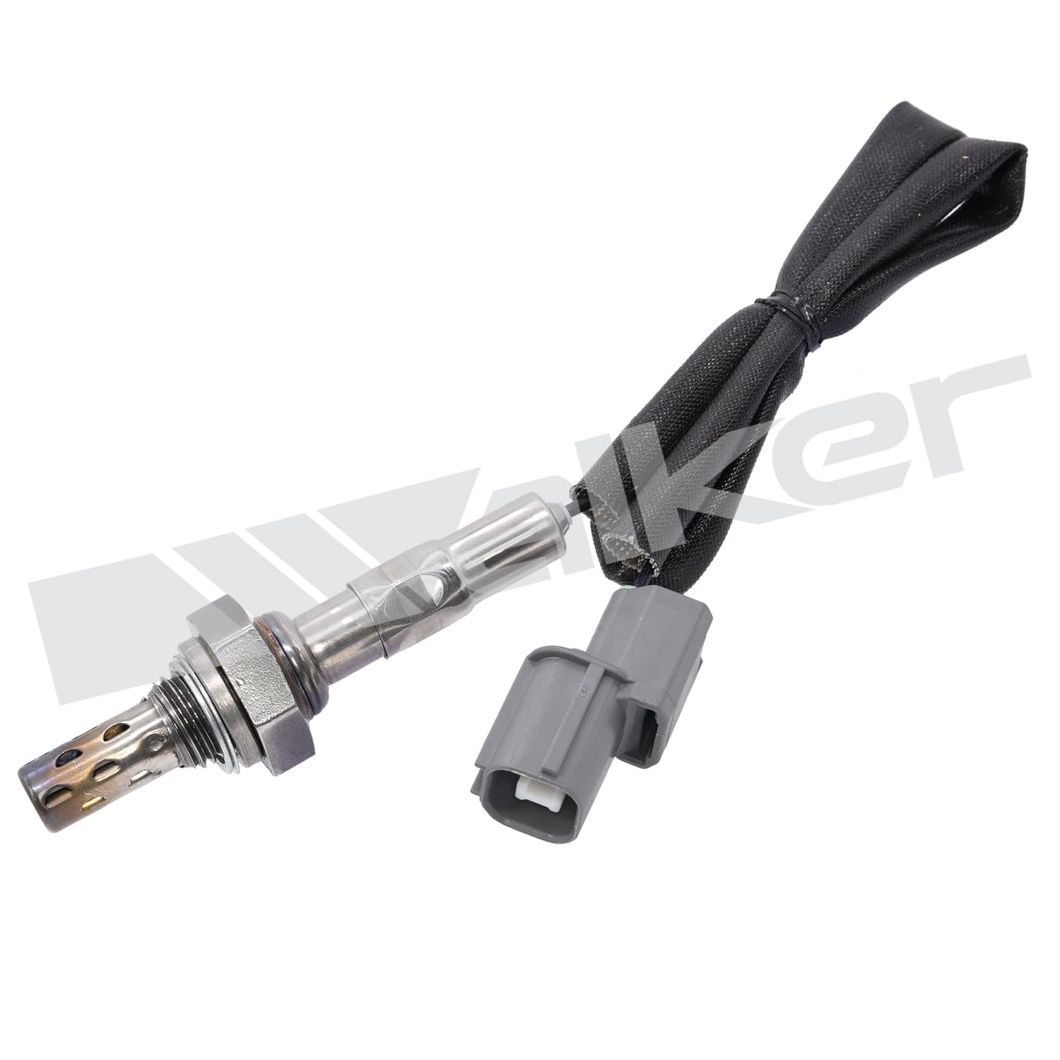 Lambdasond, Honda från Galwin