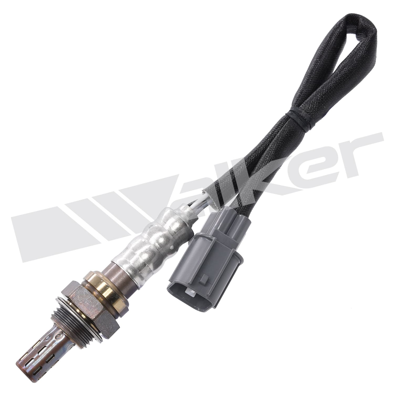 Lambdasond, Honda från Galwin