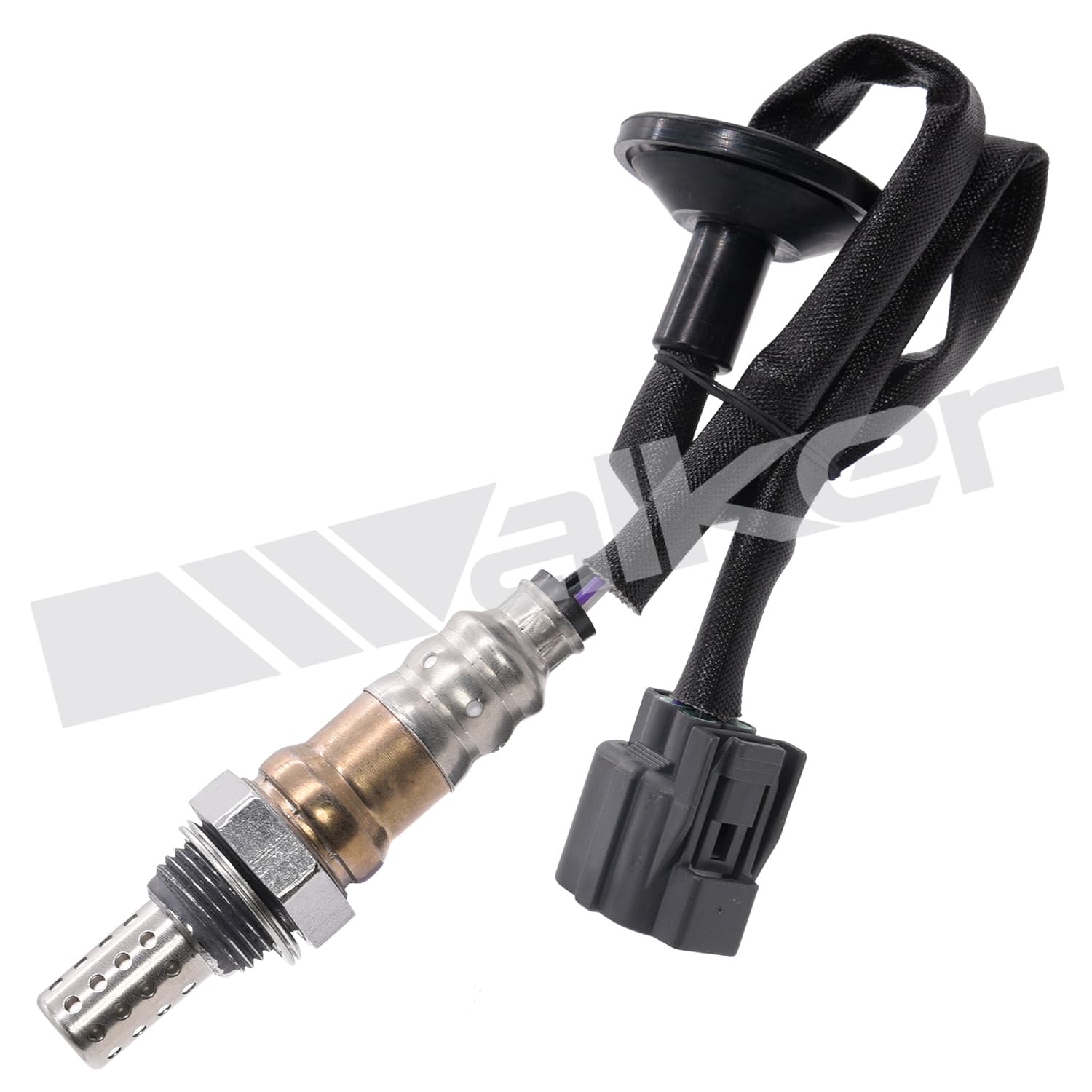 Lambdasond, Honda från Galwin