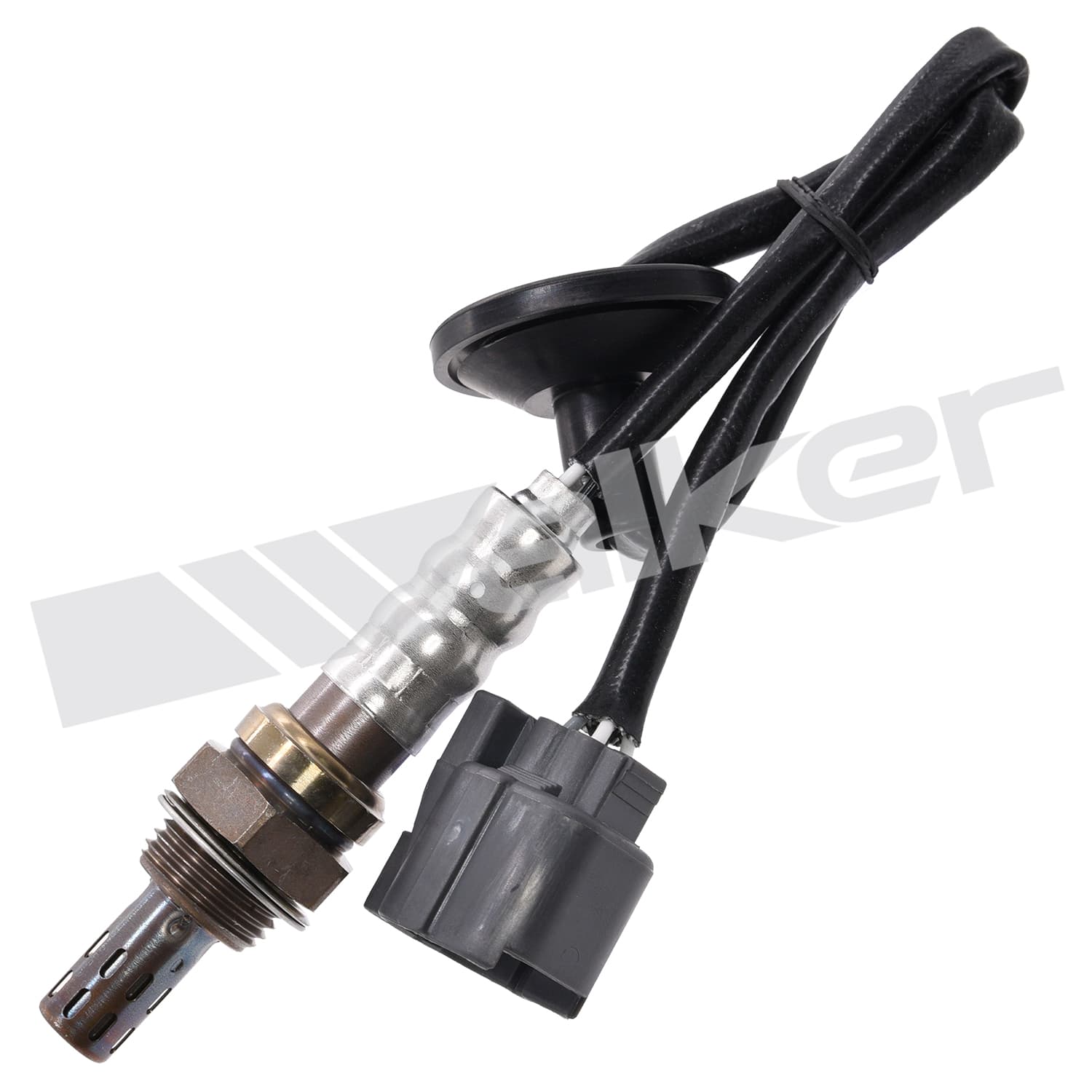 Lambdasond, Honda från Galwin