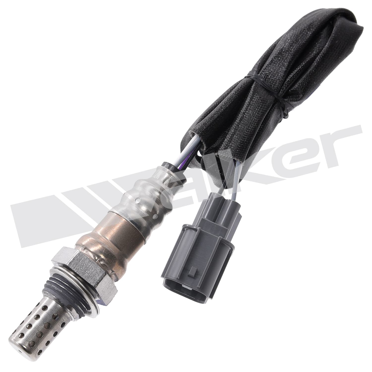 Lambdasond, Honda från Galwin