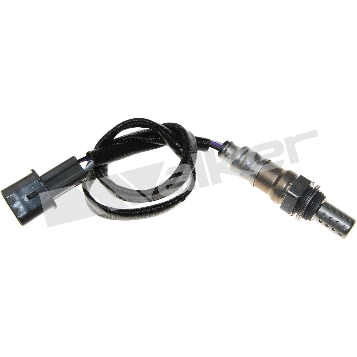 Lambdasond, Hyundai, Kia