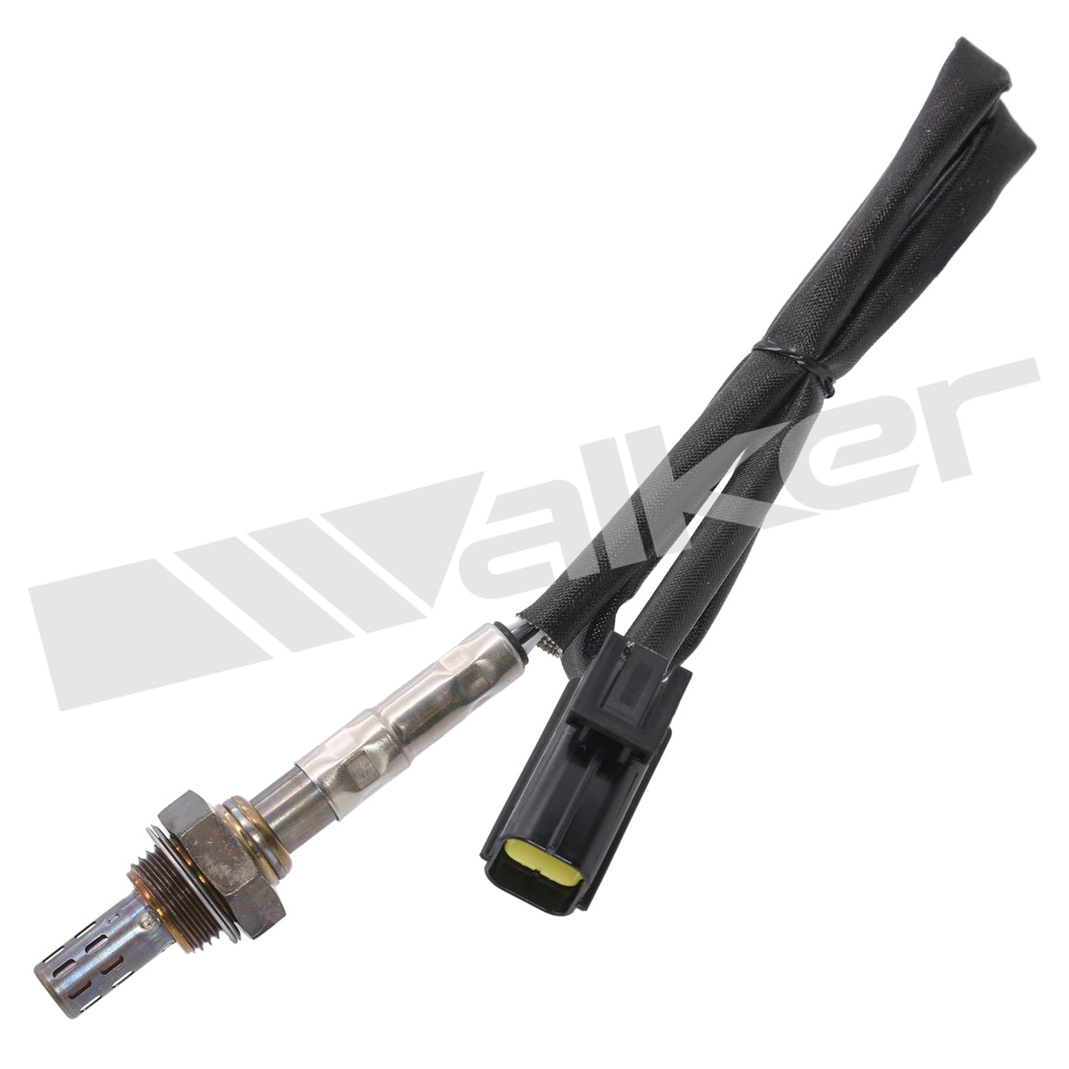 Lambdasond, Land-Rover