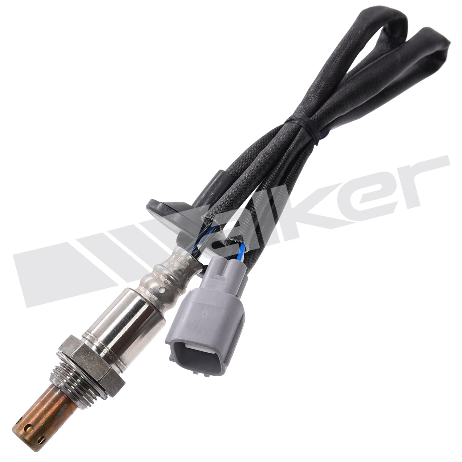 Lambdasond, Lexus från Galwin