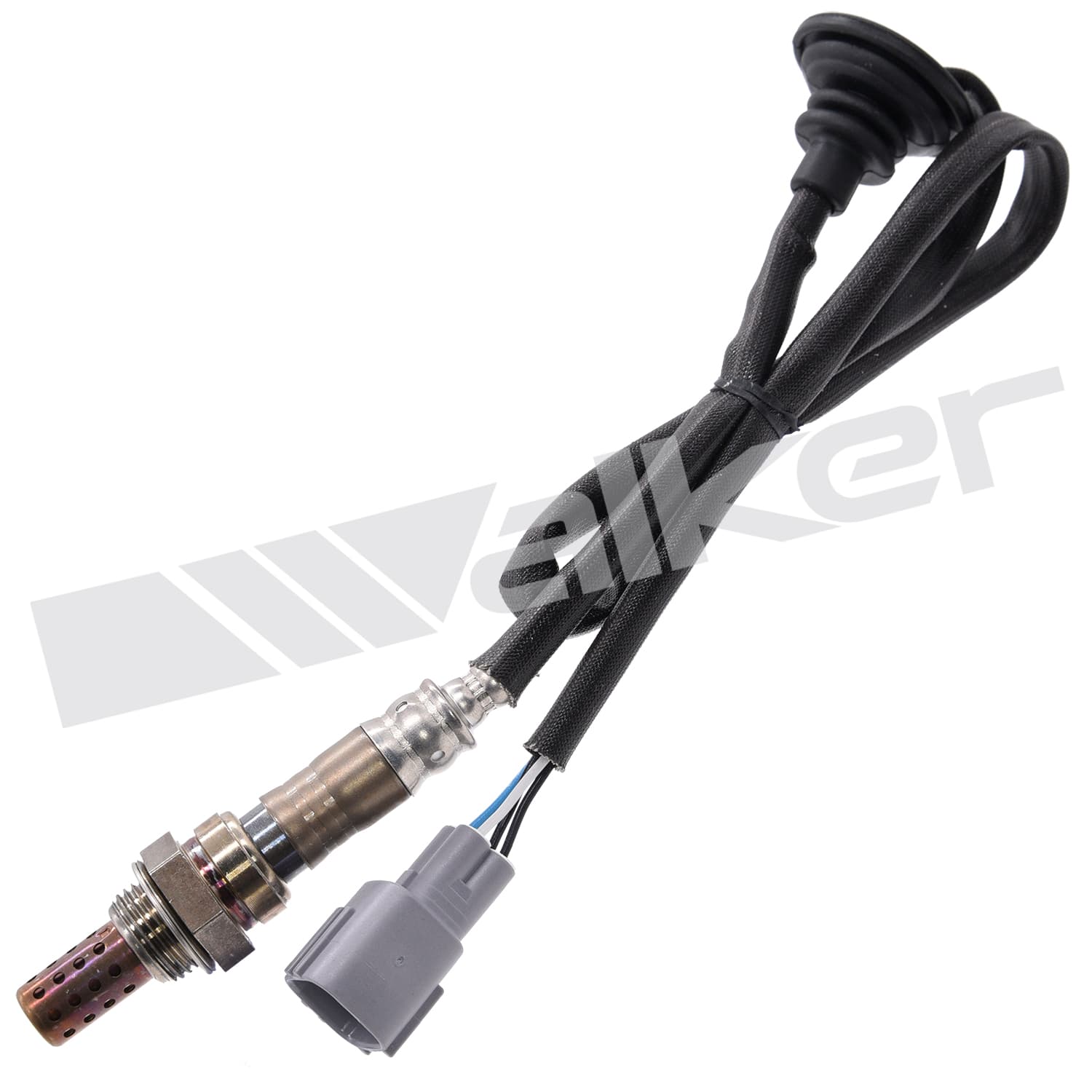 Lambdasond, Lexus från Galwin