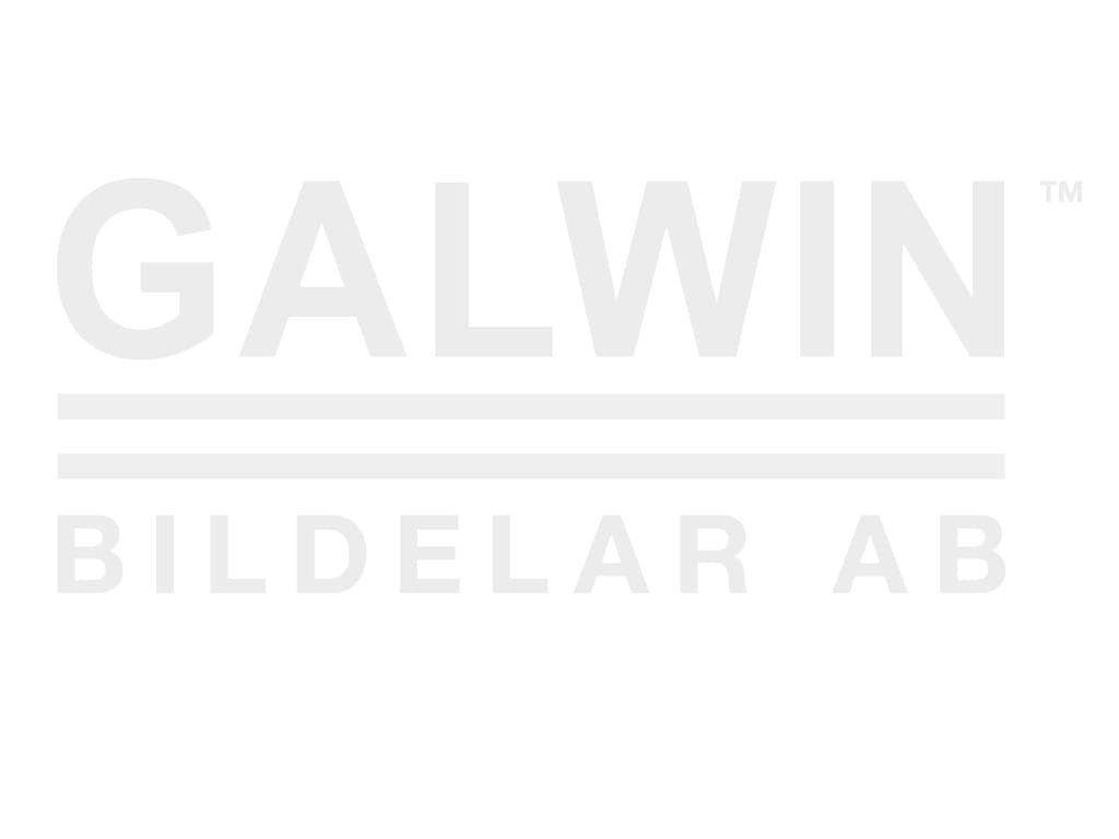 Sidospegel hö eljust/värme/primer — Höger från Galwin