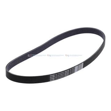 Flerspårsrem från Autofrance