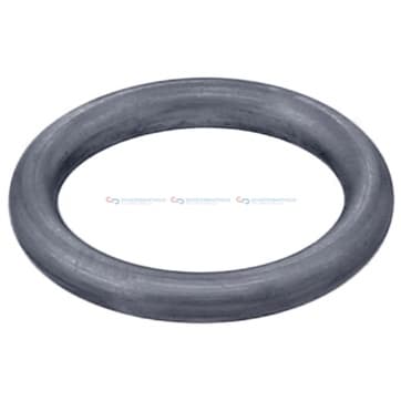 Tätningsring innerø-19,6x tjocklek3,6mm EPDM ( från Autofrance
