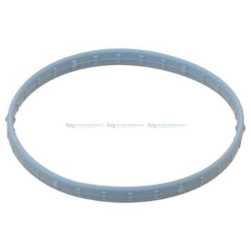 Insugsgrenrörspackning, hus från Autofrance