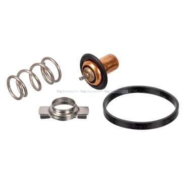 Termostat, kylvätska från Autofrance