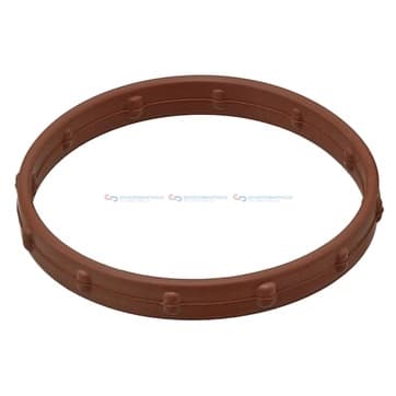 Insugsgrenrörspackning från Autofrance